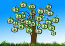 A fórmula da árvore do dinheiro, por Robert Allen.