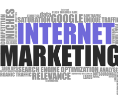 Internet marketing para iniciantes: Tudo que você precisa saber para criar seu próprio negócio altamente bem-sucedido na internet.